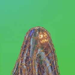 3d_ghost: 1491