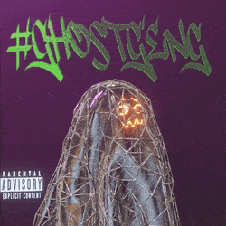 3d_ghost: 269