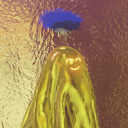 3d_ghost: 2221