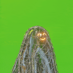 3d_ghost: 4526