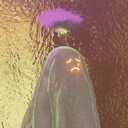 3d_ghost: 4431