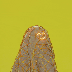 3d_ghost: 2516