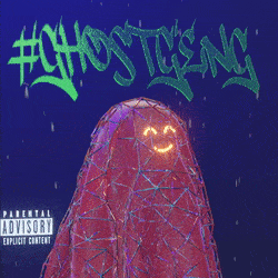 3d_ghost: 3154