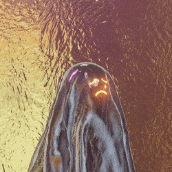 3d_ghost: 587