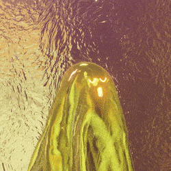 3d_ghost: 1563