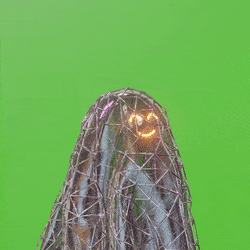 3d_ghost: 4889