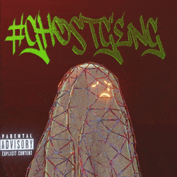 3d_ghost: 3017