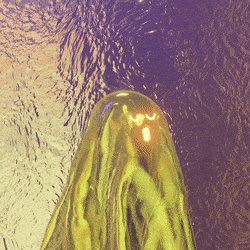3d_ghost: 3065